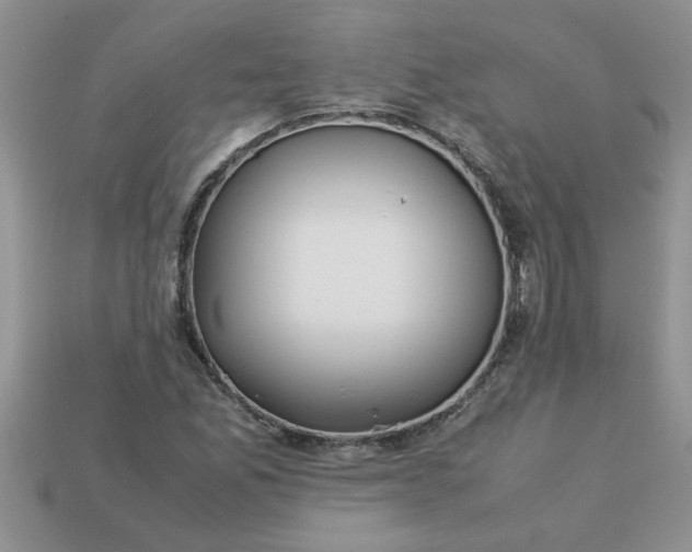 X0000113011165200909101811