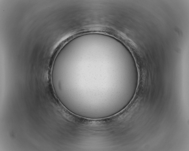 X0000113011166200909101811