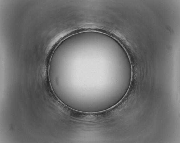 X0000113011167200909101811