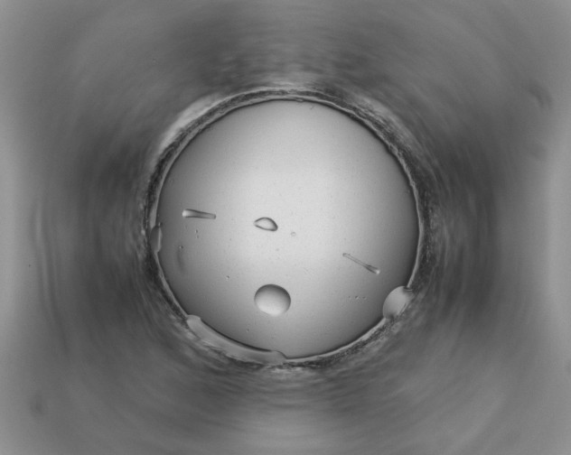 X0000113011168200909101811