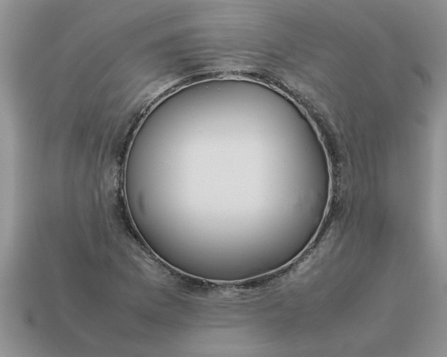 X0000113011169200909101811