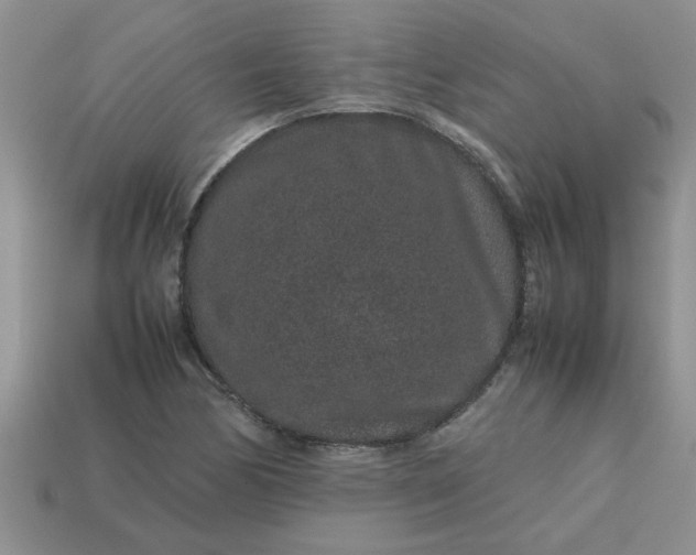 X0000113011170200909101811