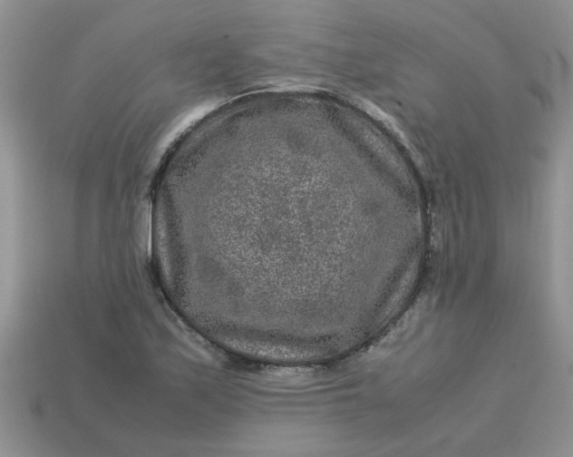 X0000113011171200909101811