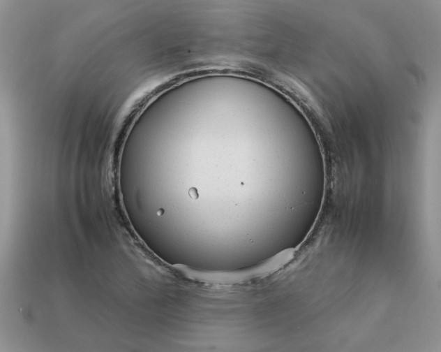 X0000113011172200909101811