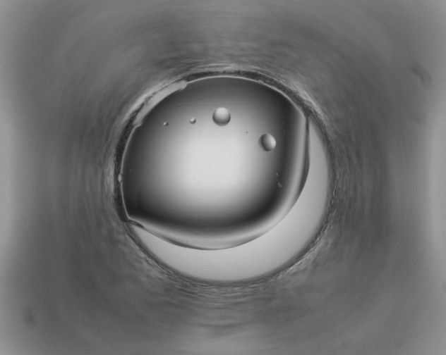 X0000113011173200909101811