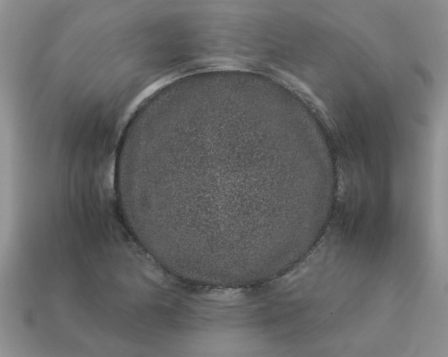 X0000113011174200909101811