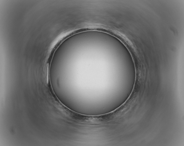 X0000113011175200909101811