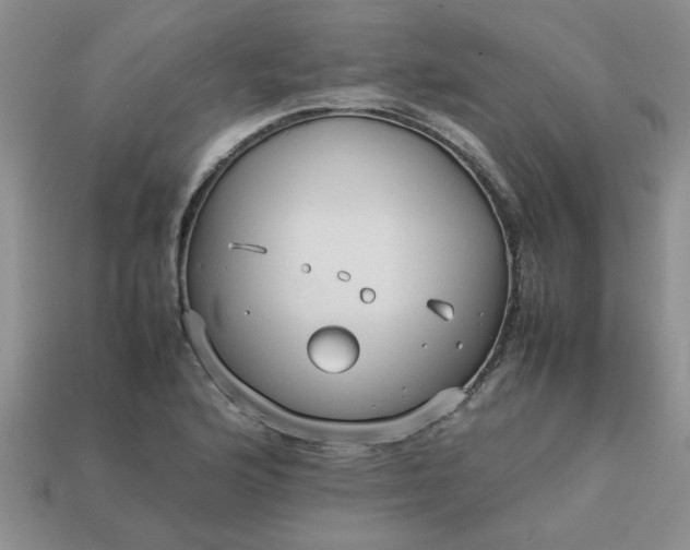 X0000113011176200909101811