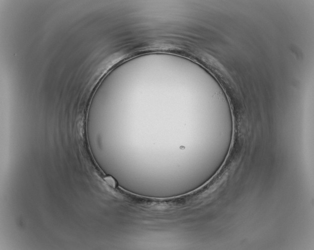 X0000113011177200909101811