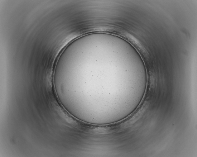 X0000113011178200909101811