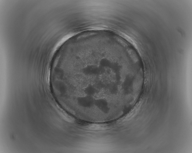 X0000113011179200909101811