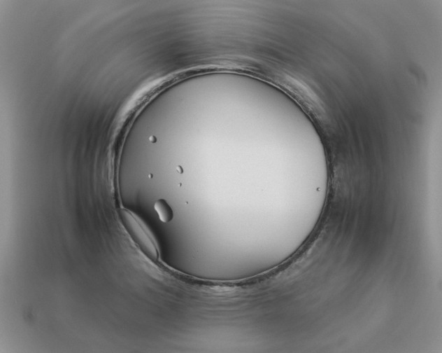 X0000113011180200909101811