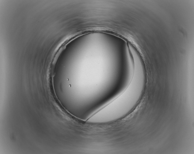 X0000113011181200909101811