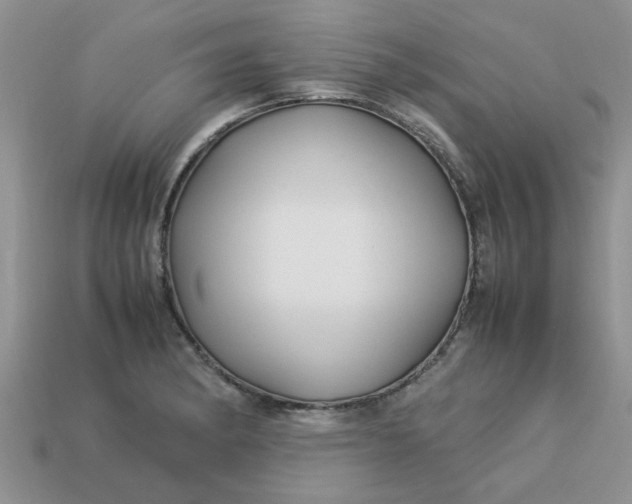 X0000113011182200909101811