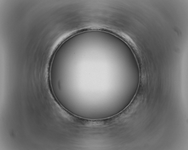 X0000113011183200909101811