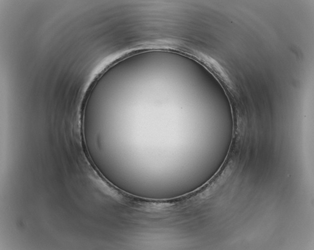 X0000113011184200909101811