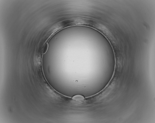 X0000113011185200909101811