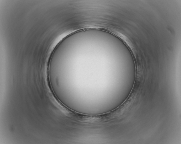 X0000113011187200909101811