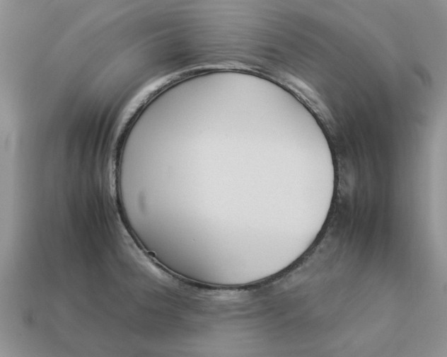 X0000113011188200909101811