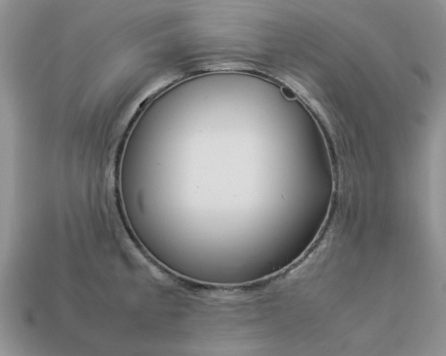 X0000113011189200909101811