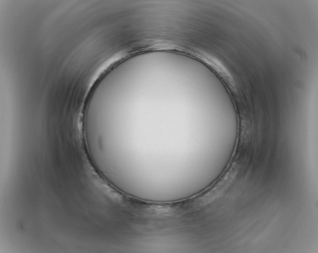 X0000113011190200909101811