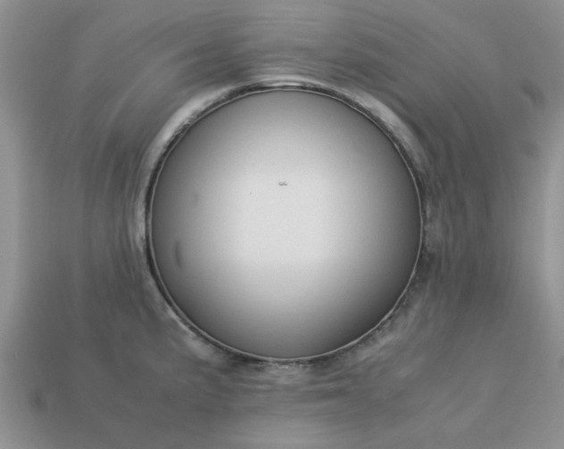 X0000113011191200909101811