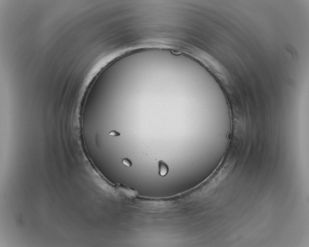 X0000113011192200909101811