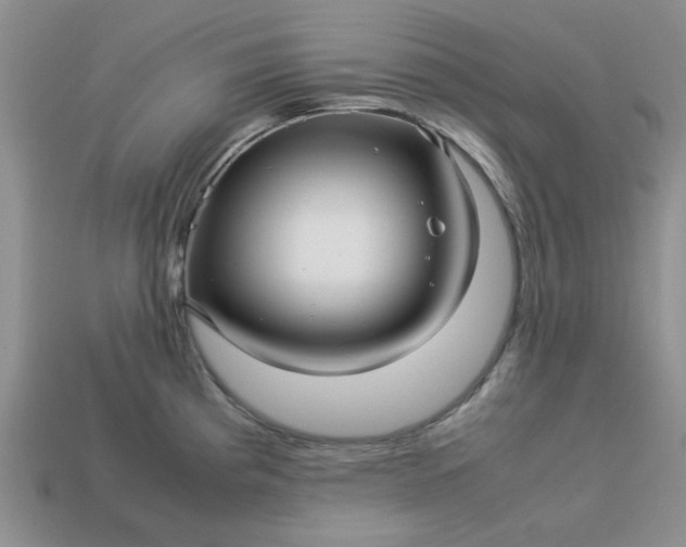 X0000113011193200909101811