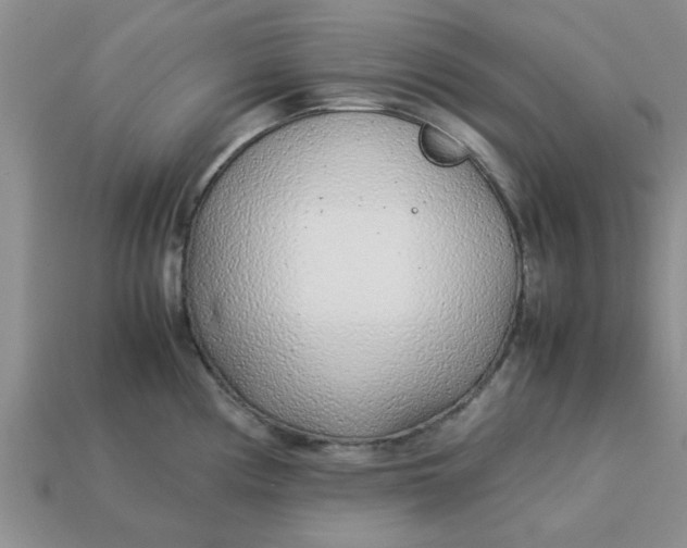 X0000113011194200909101811