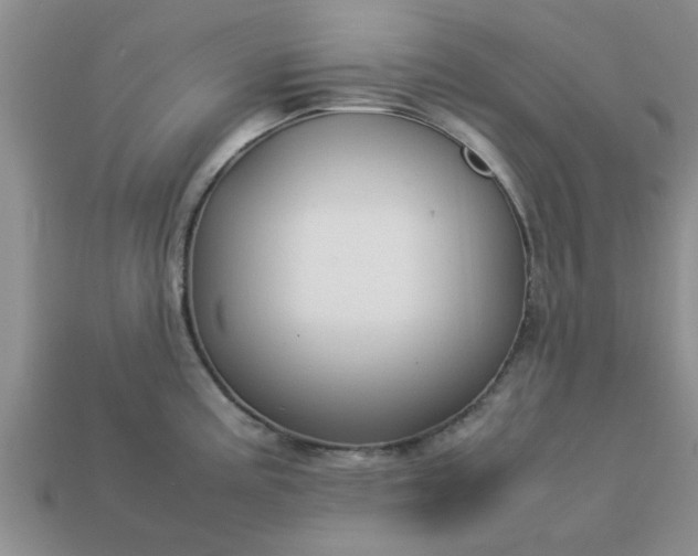 X0000113011195200909101811