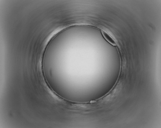 X0000113011197200909101811