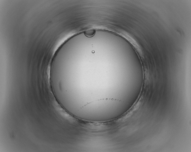 X0000113011198200909101811