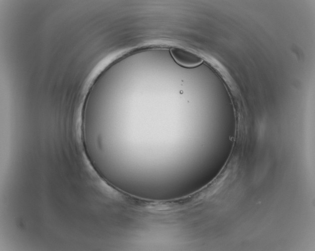 X0000113011199200909101811