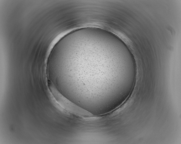 X0000113011200200909101811