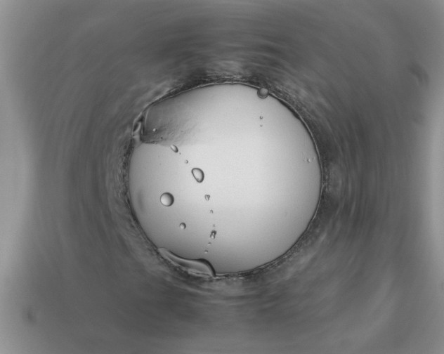 X0000113011201200909101810