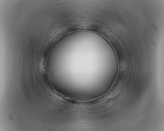 X0000113011202200909101810