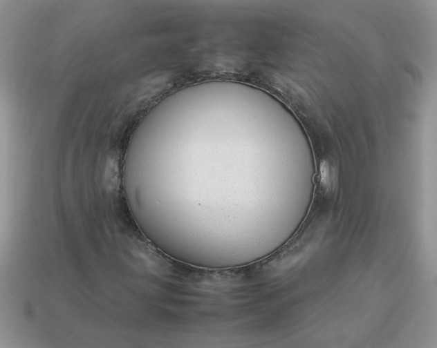 X0000113011203200909101810