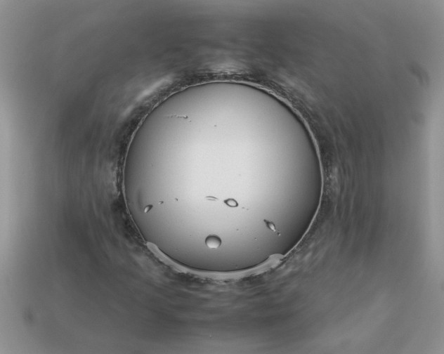 X0000113011205200909101810