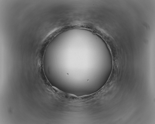 X0000113011206200909101810