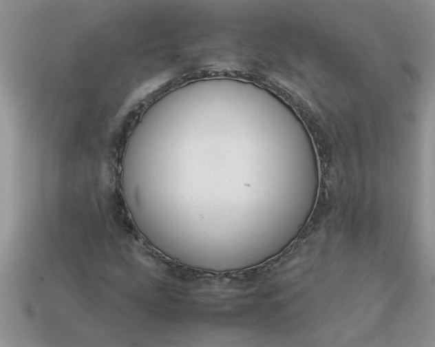 X0000113011207200909101810