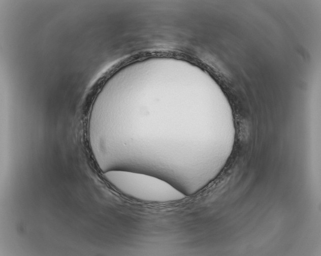 X0000113011208200909101810