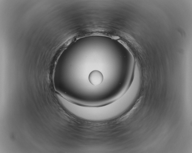 X0000113011209200909101810