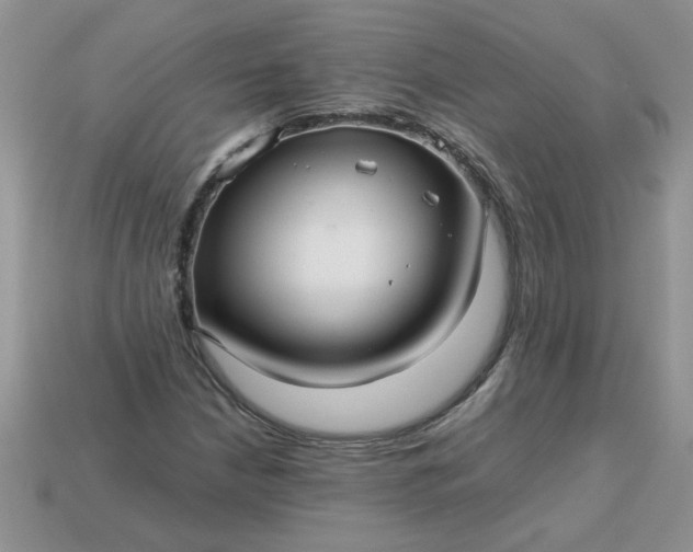 X0000113011210200909101810