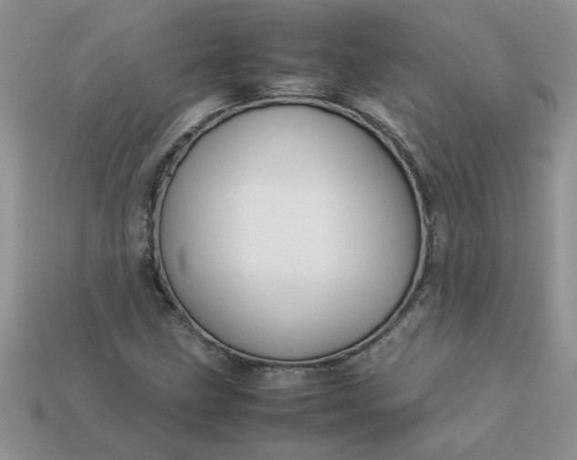 X0000113011211200909101810