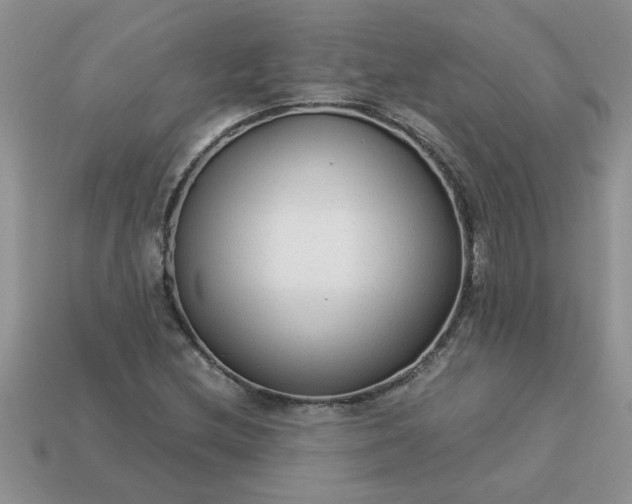 X0000113011212200909101810