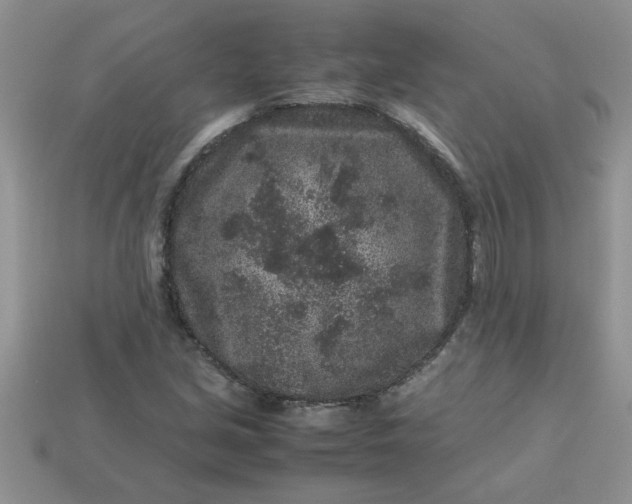 X0000113011213200909101810