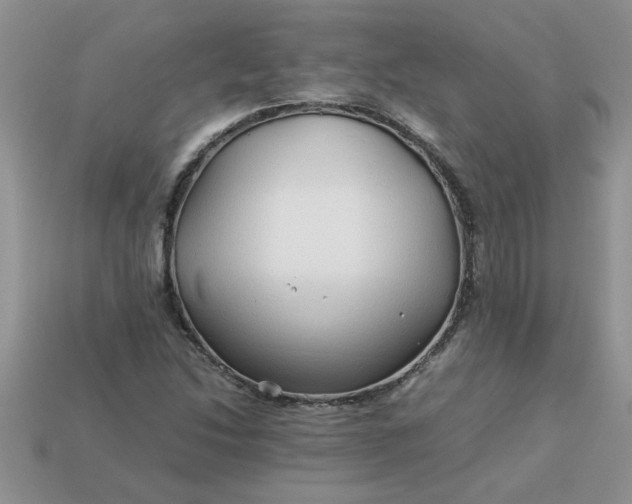 X0000113011214200909101810