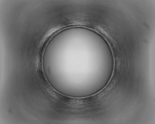 X0000113011215200909101810