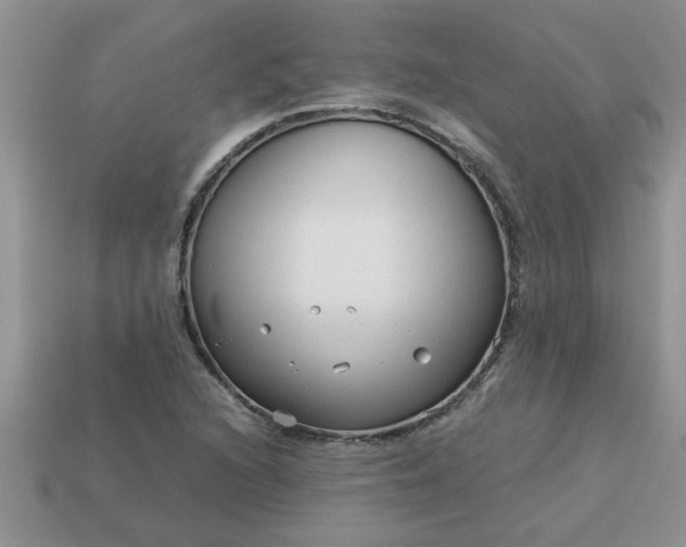 X0000113011216200909101810