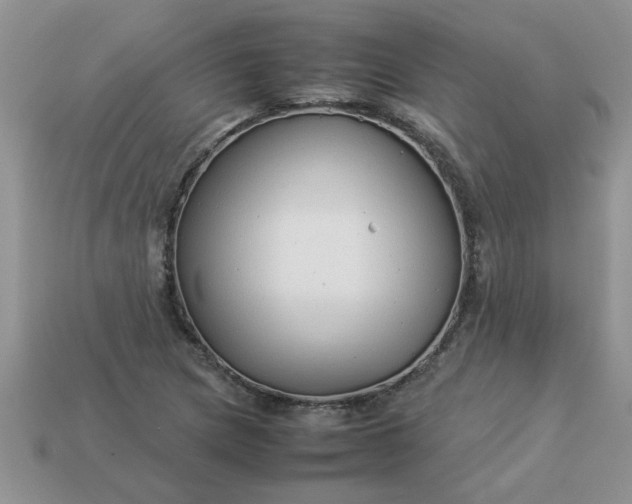 X0000113011217200909101810